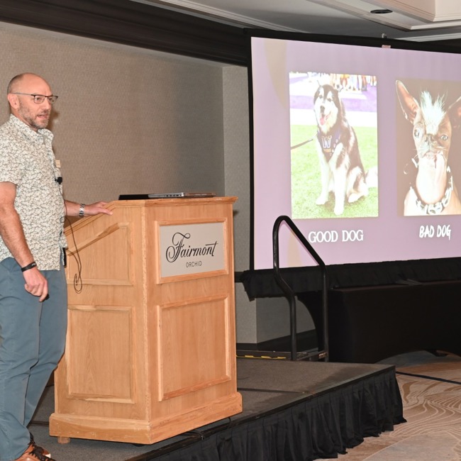 dr reid winkler canines good dog bad dog 